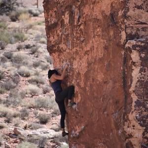 Meet your Posher, Eva